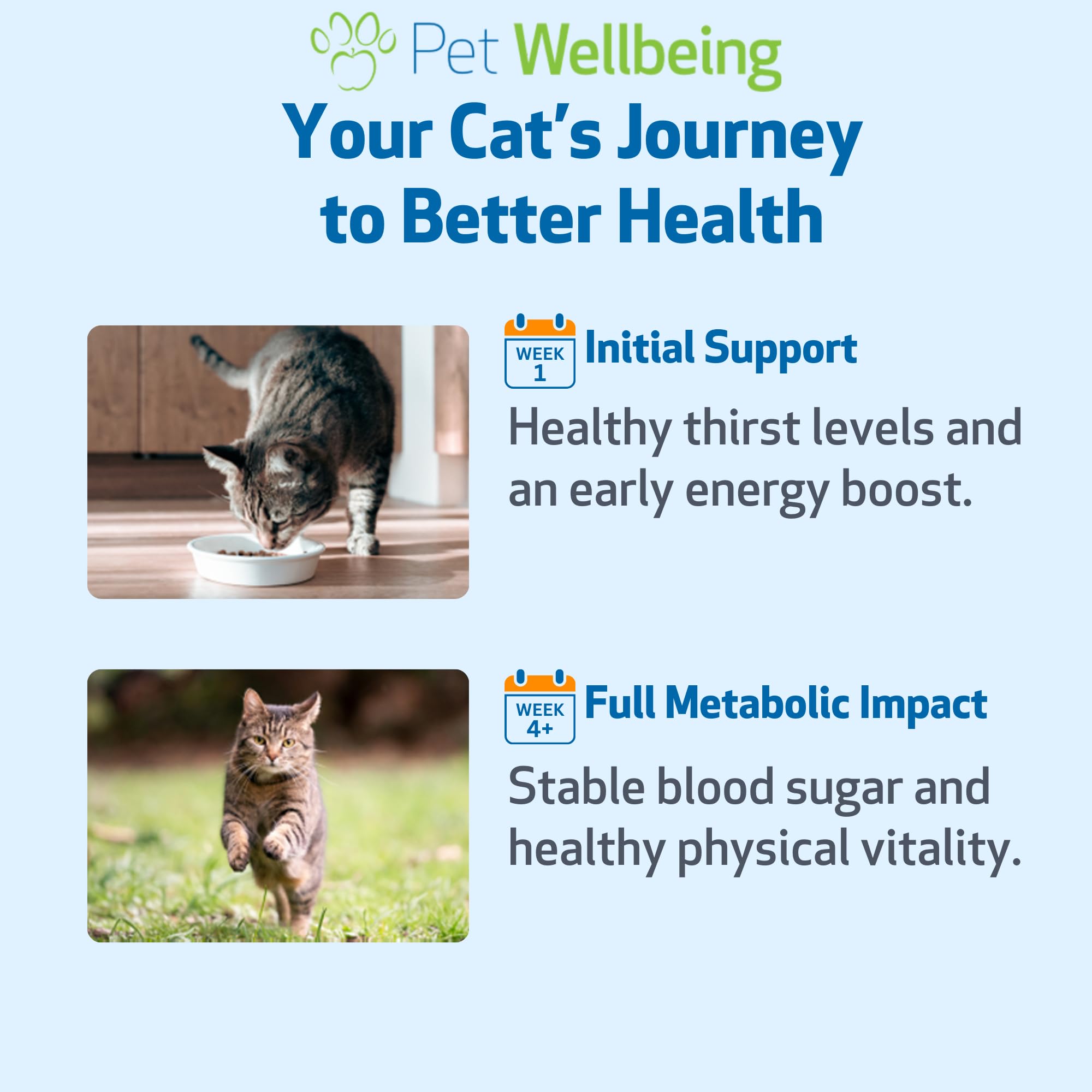 Cat enjoys meal after supplement, suggesting easy integration into daily care
