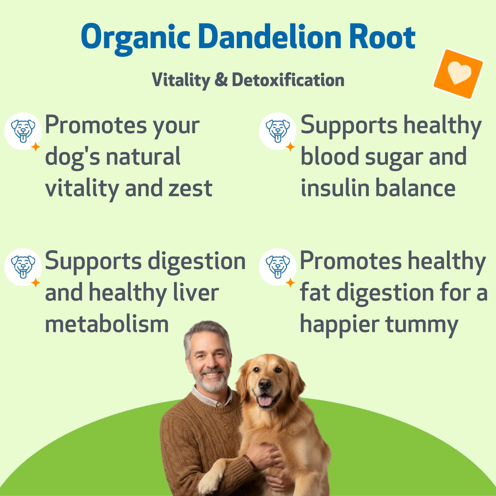 Pet Wellbeing Dandelion Root for Dogs dropper allows precise dosing