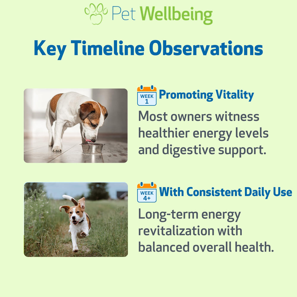 Pet Wellbeing Dandelion Root for Dogs made in USA seal on label