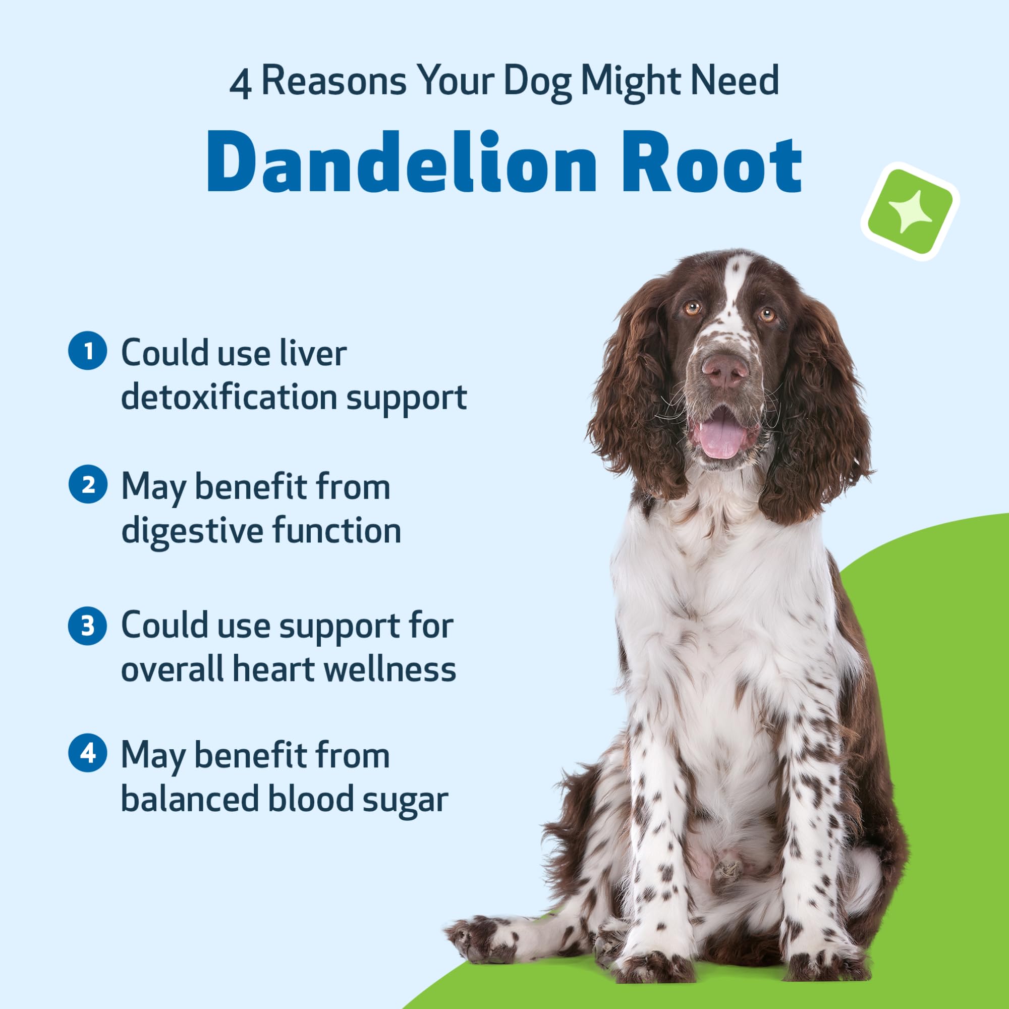 Pet Wellbeing Dandelion Root packaging shows eco-friendly materials