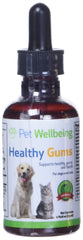 Pet Wellbeing dog dental routine scene encouraging daily gum and breath support.