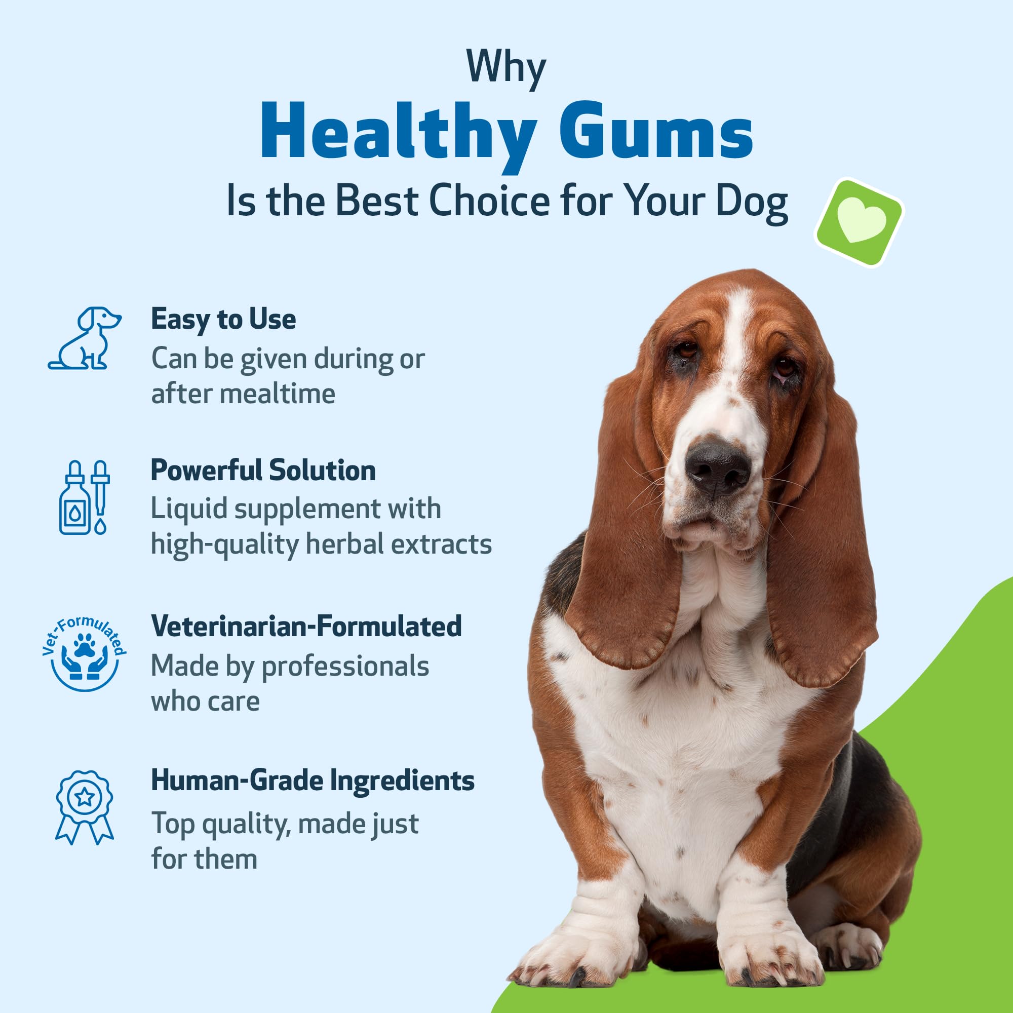 Pet Wellbeing label close-up highlighting high-quality ingredients for gum care.