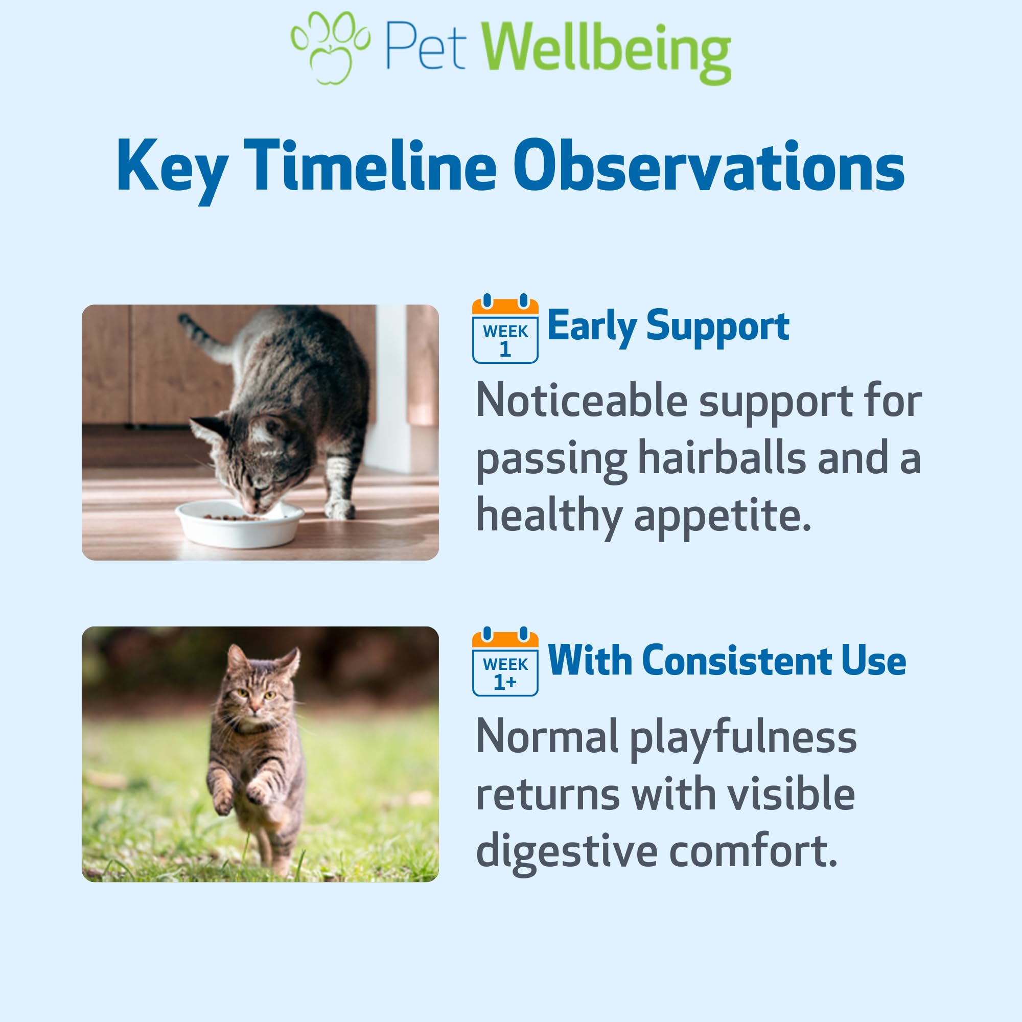 Cat-friendly use of Hairball Gold to support hairball management.