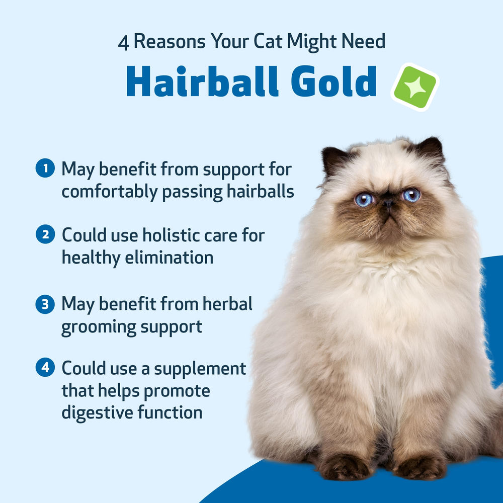 Hero shot of Hairball Gold with soft lighting and product focus.