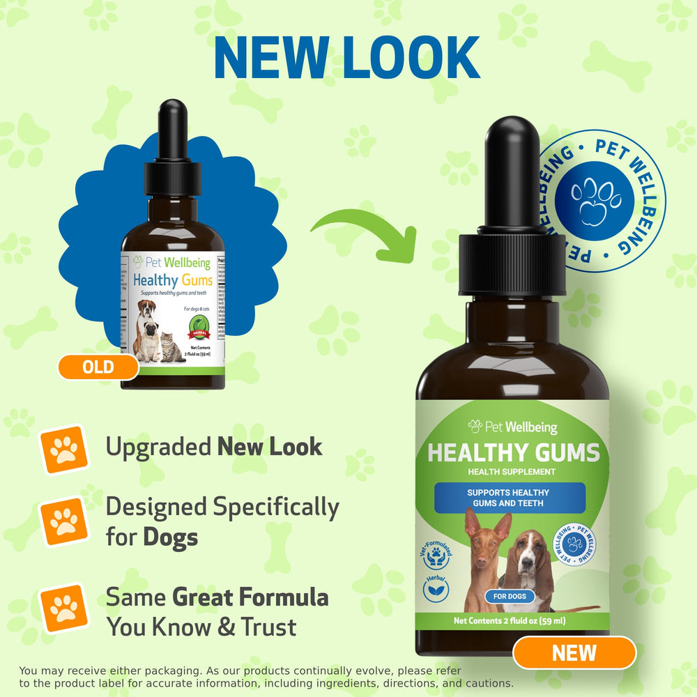 Pet Wellbeing Healthy Gums for Dogs bottle close-up, easy at-home use.