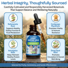 Pet Wellbeing Kidney Support Gold cat drinking shows hydration support.