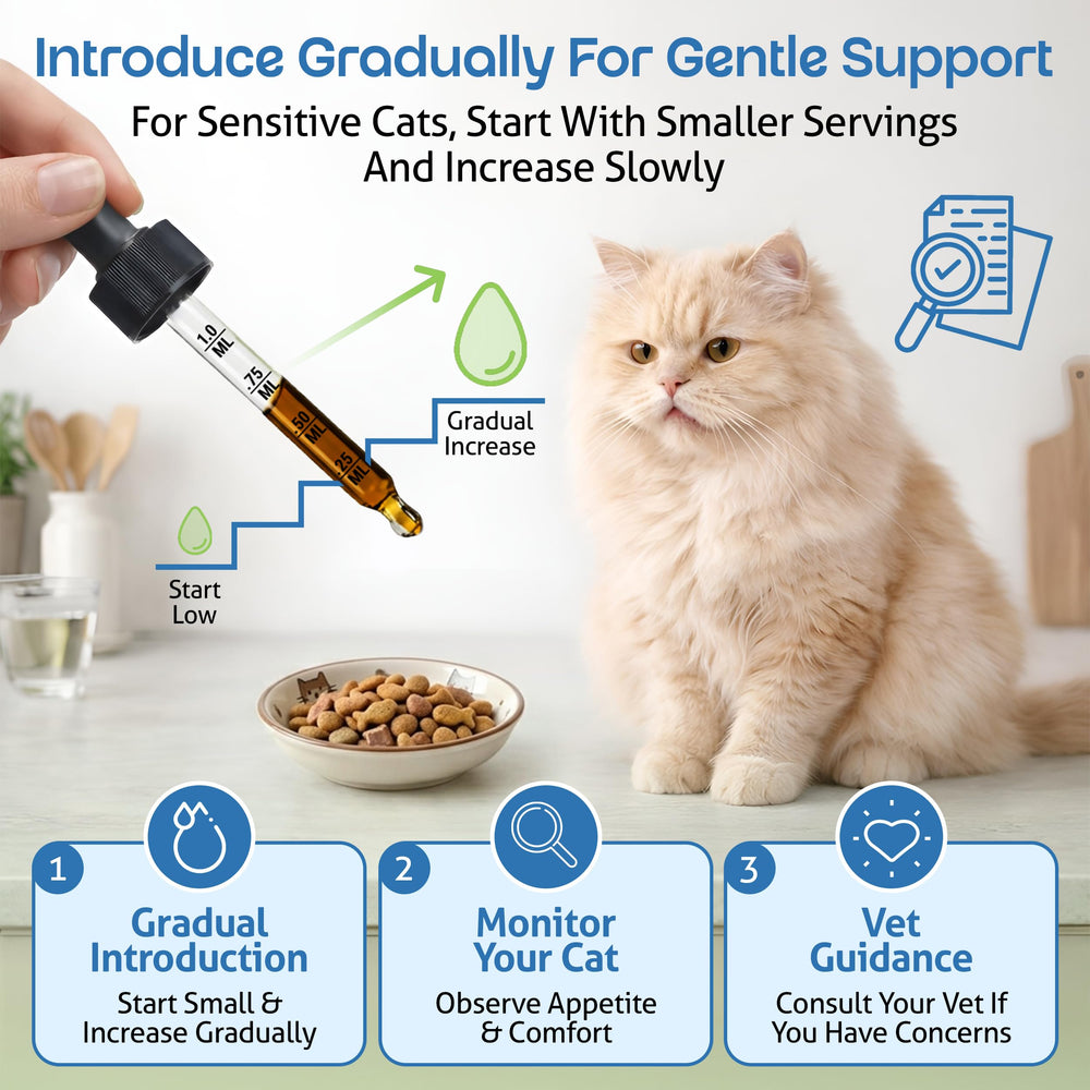 Herbal blend of Pet Wellbeing Kidney Support Gold supports gentle wellness.