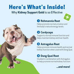 Pet Wellbeing Kidney Support Gold label highlights its herbal formula.