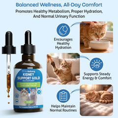 Pet Wellbeing Kidney Support Gold label with natural ingredients.