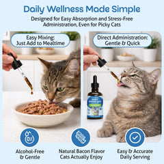 Alcohol-free Pet Wellbeing Kidney Support Gold liquid form for easy absorption.