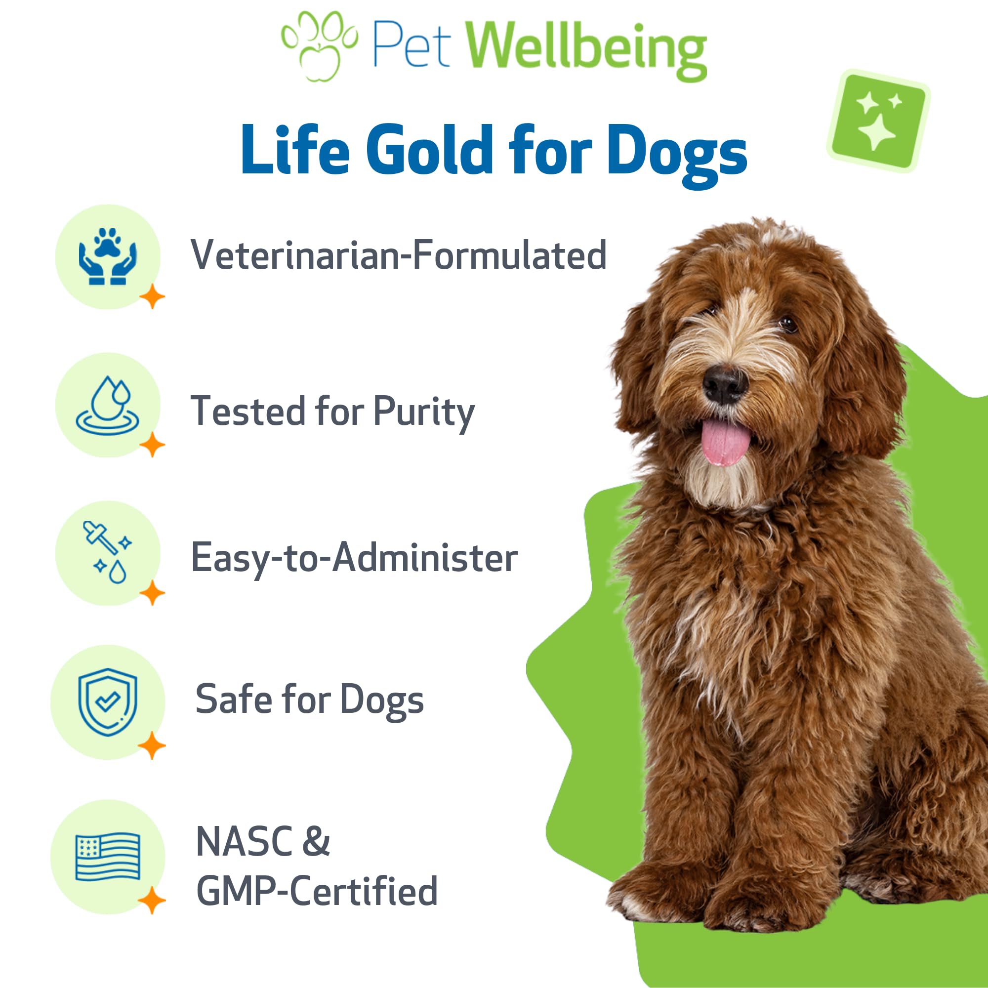 Pet Wellbeing Life Gold for Dogs bottle shown in a calm home setting.