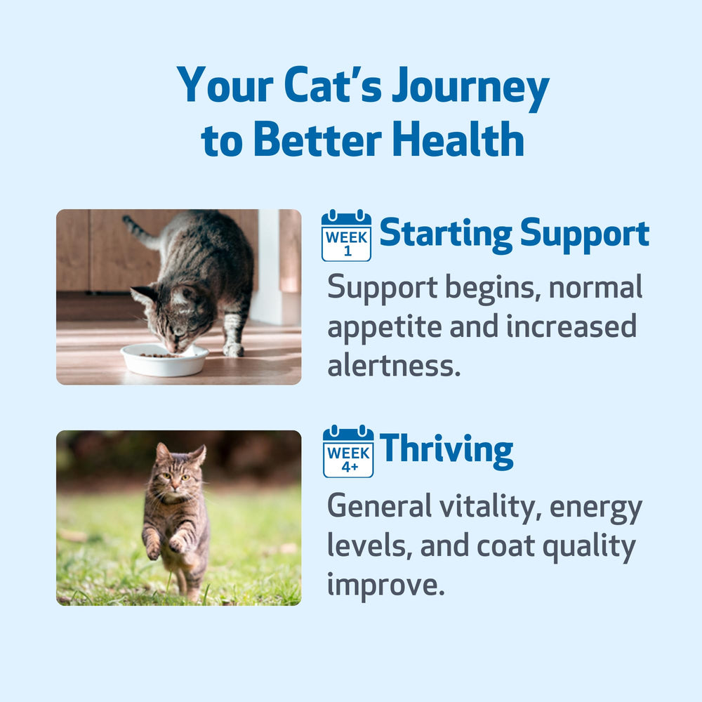 Pet Wellbeing Life Gold vet-formulated product for holistic cat care.