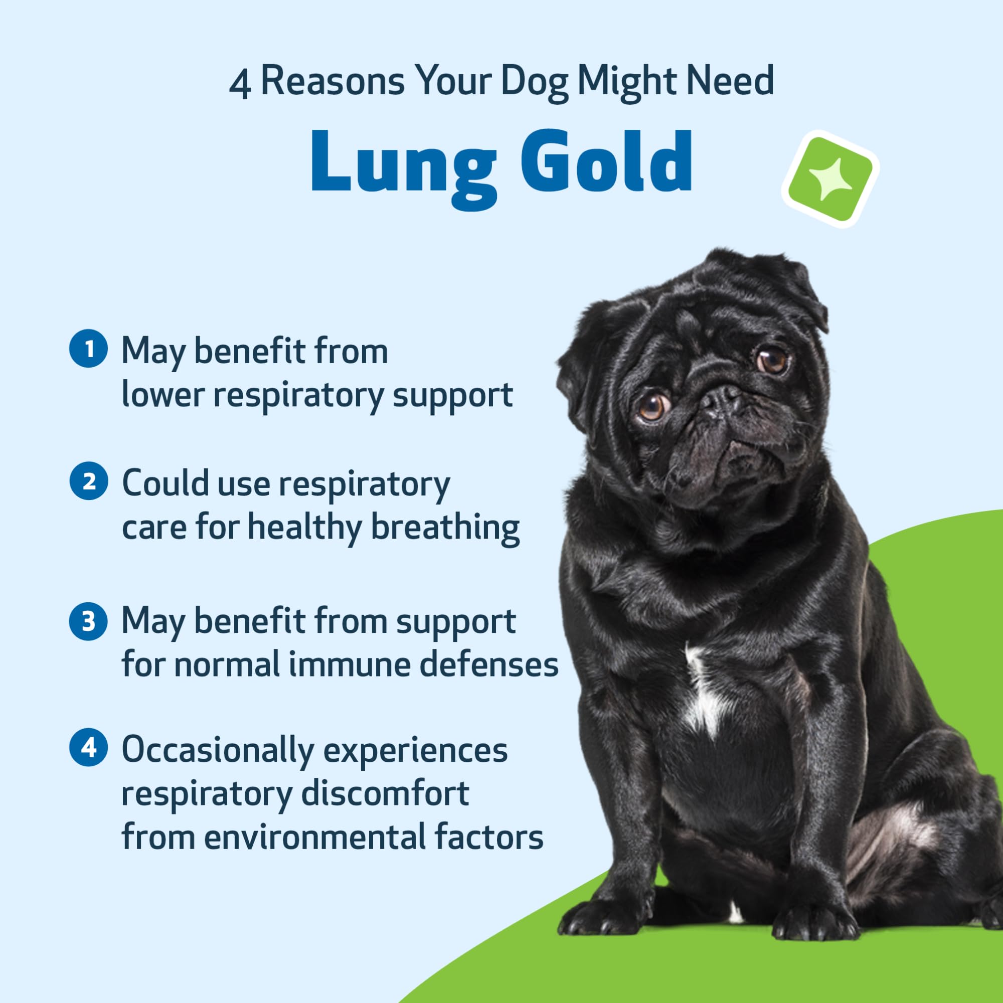 Pet Wellbeing Lung Gold bottle closeup showcases herbal blend for respiratory support