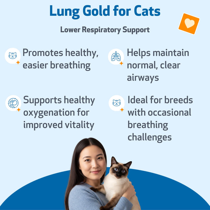 Pet Wellbeing Lung Gold for Cats drops with dropper for precise dosing at home.