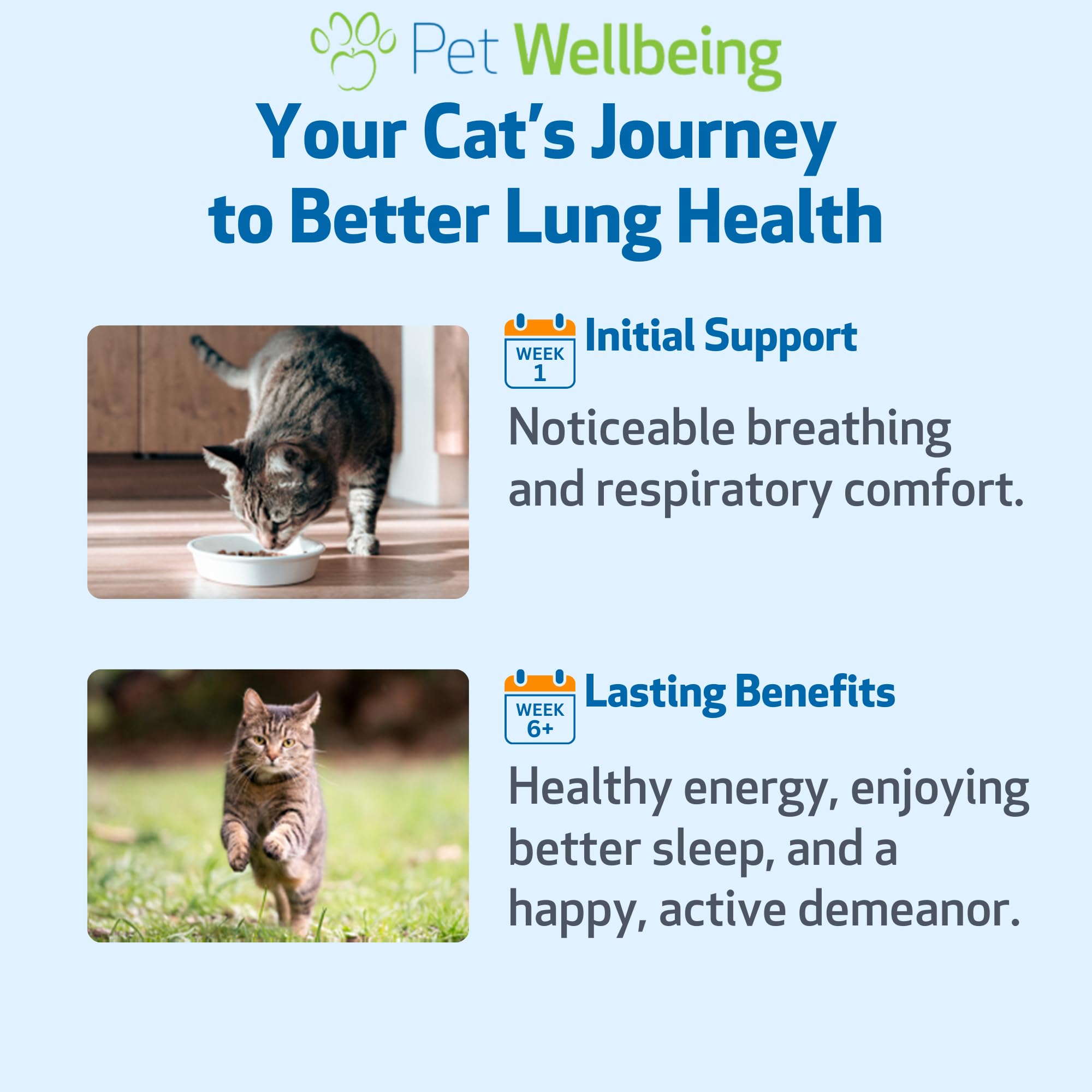Pet Wellbeing Lung Gold for Cats featuring coptis ingredient for holistic lung care.