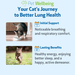 Pet Wellbeing Lung Gold for Cats featuring coptis ingredient for holistic lung care.