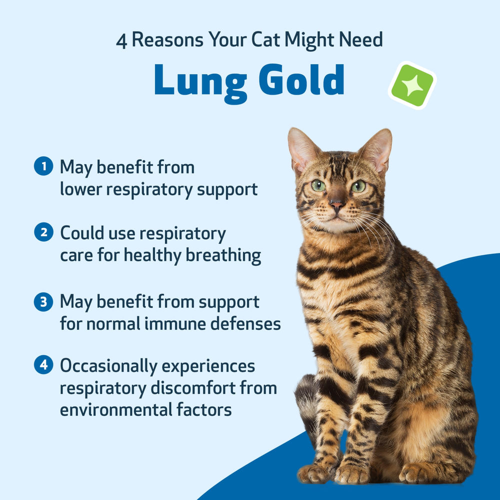 Pet Wellbeing Lung Gold for Cats open airways concept indicating respiratory focus.