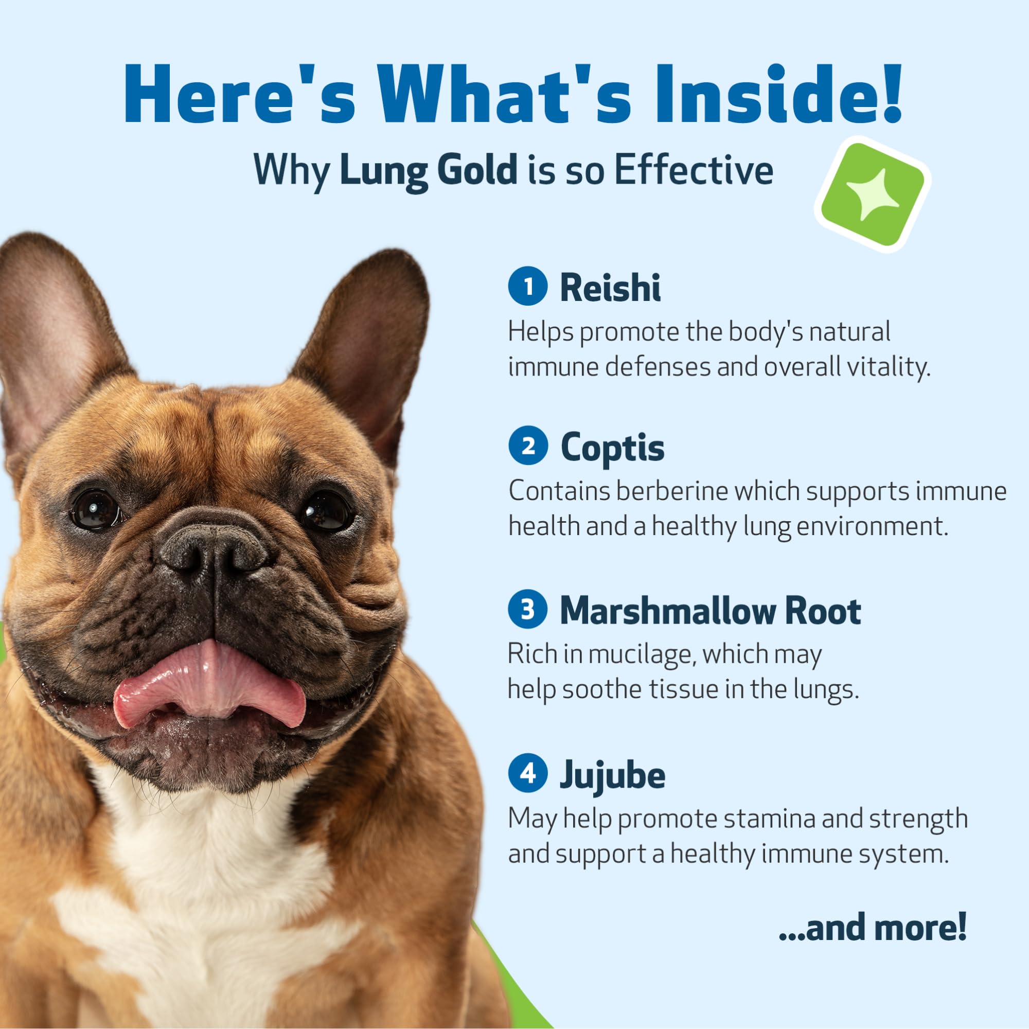 Pet Wellbeing Lung Gold label detail underscores NASC-certified quality