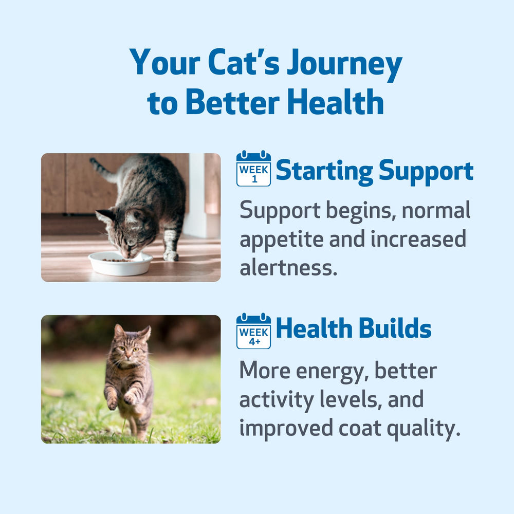 Pet Wellbeing Milk Thistle bacon flavor appeals to cats during dosing.
