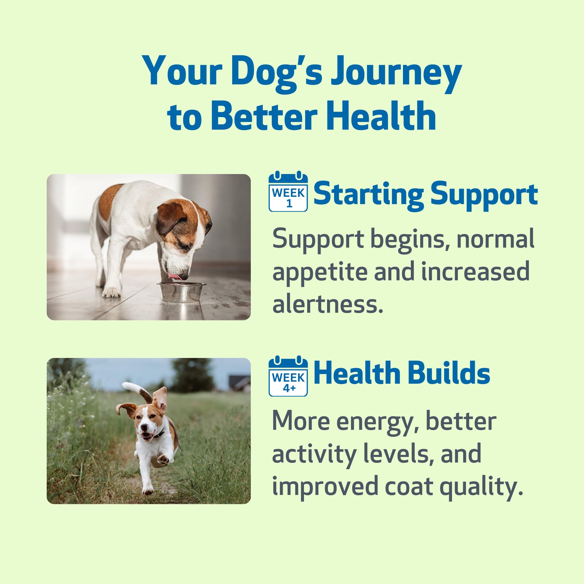 Pet Wellbeing Milk Thistle bottle, USA-made in FDA-registered facility.