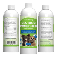 Pet Wellbeing Mushroom Immune Gold bottle close-up for immune balance support in dogs.
