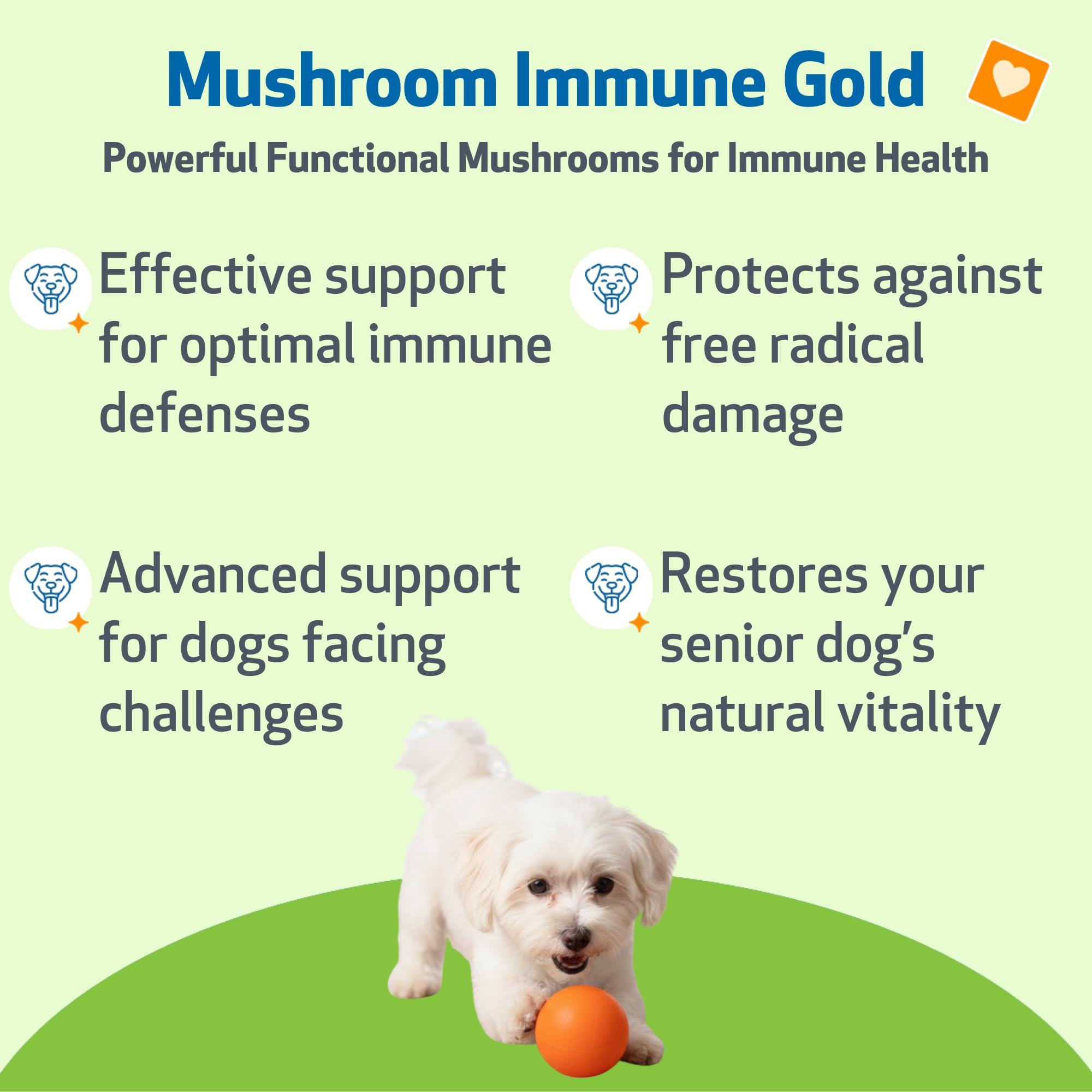 Pet Wellbeing Mushroom Immune Gold label highlights NASC-certified vet-formulated formulation.