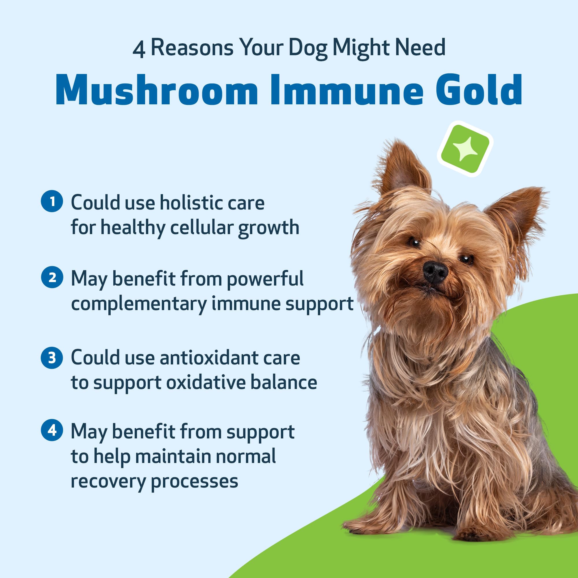 Pet Wellbeing Mushroom Immune Gold sample usage in food or treat mix shows flexibility.