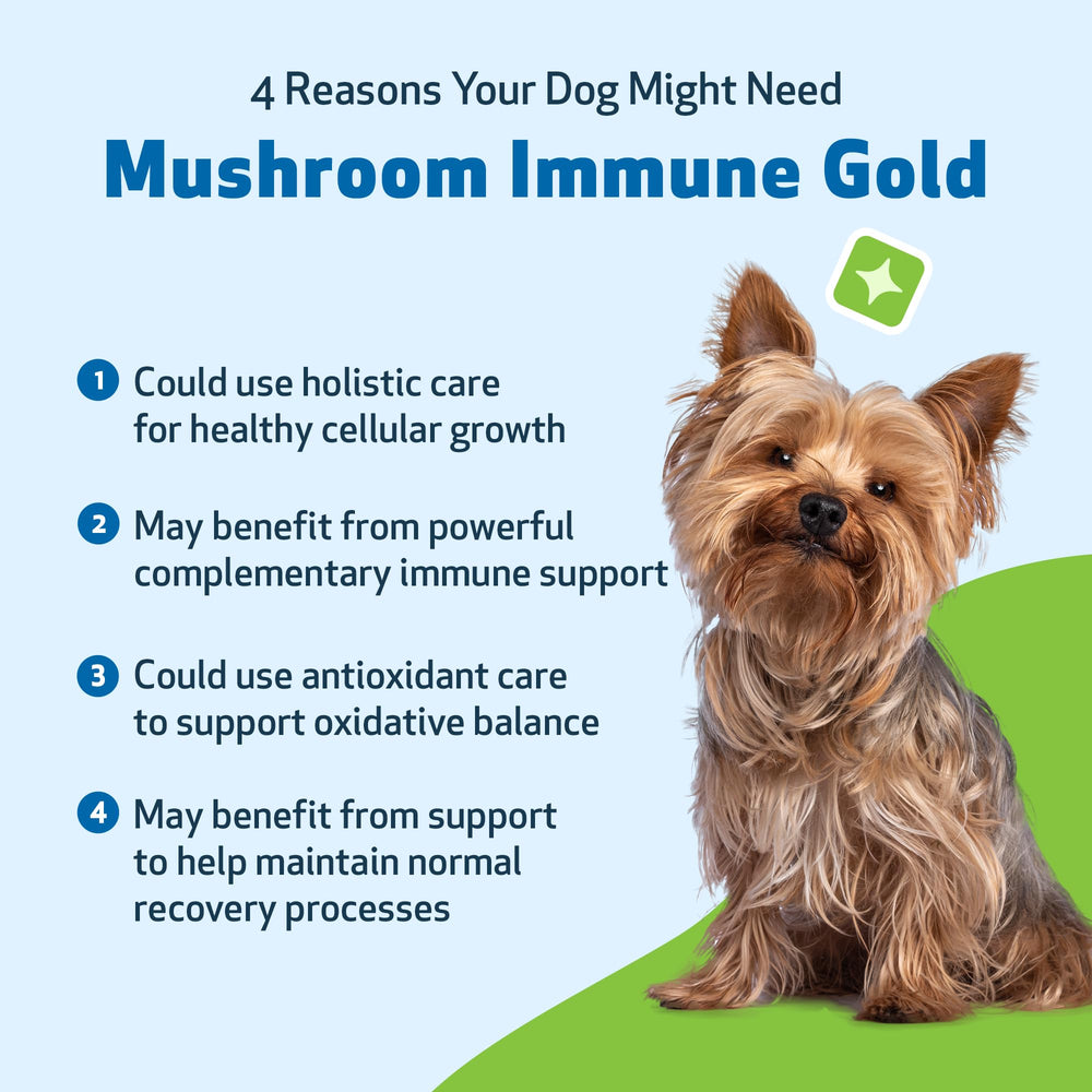 Pet Wellbeing Mushroom Immune Gold sample usage in food or treat mix shows flexibility.