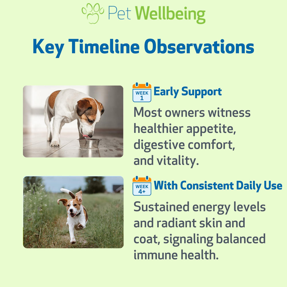 Pet Wellbeing Mushroom Immune Gold USA facility badge illustrates quality manufacturing.