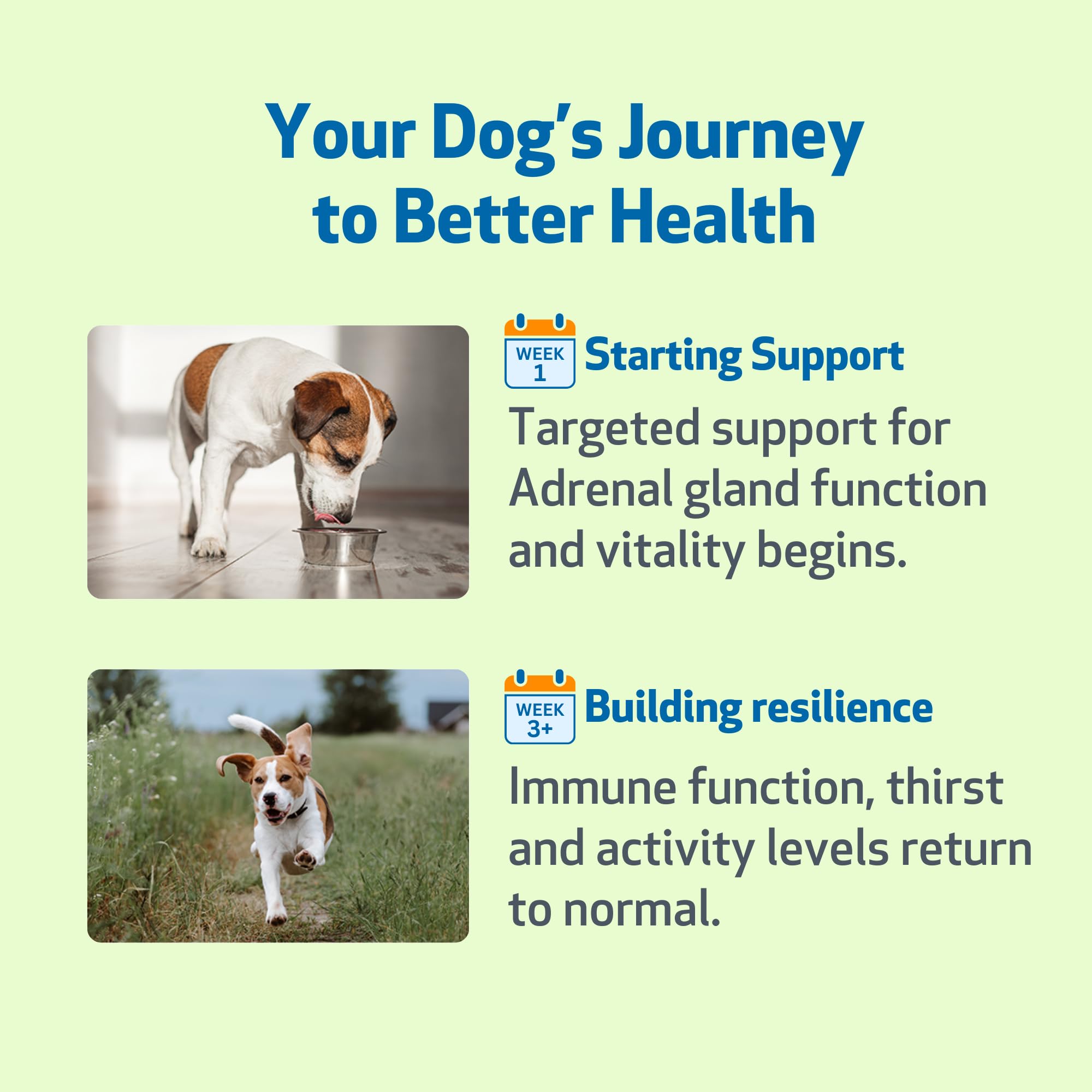 Pet Wellbeing Adrenal Harmony Gold NASC-certified seal on packaging.