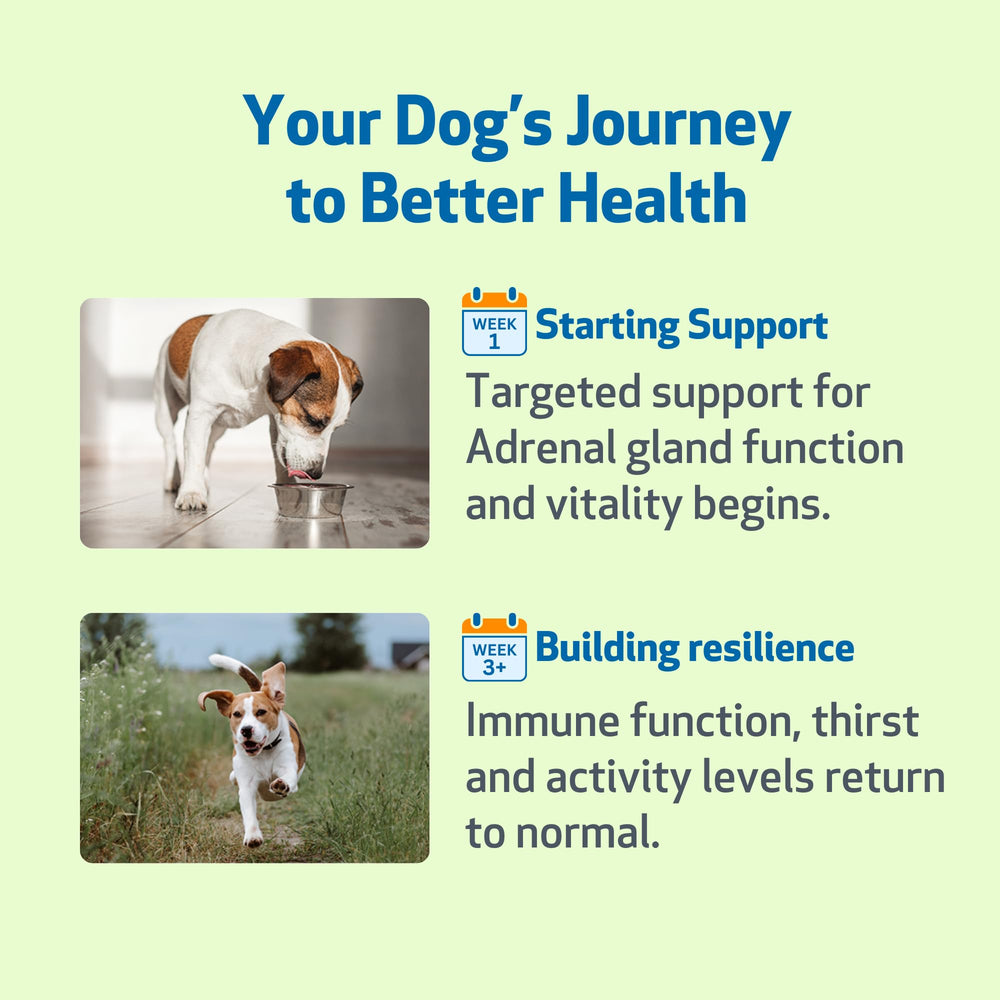 Pet Wellbeing Adrenal Harmony Gold NASC-certified seal on packaging.