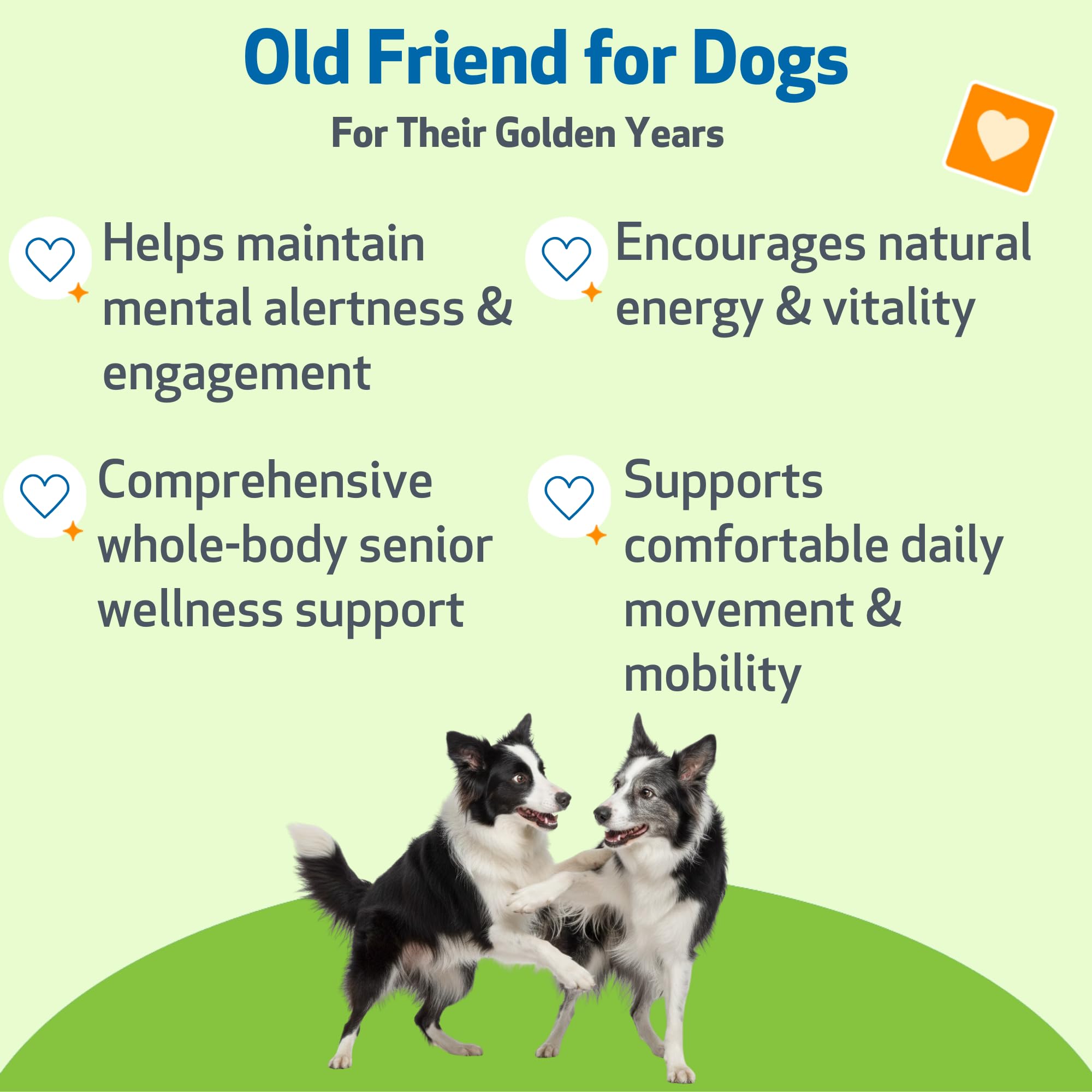 Pet Wellbeing Old Friend pour shot illustrating easy daily serving for energy
