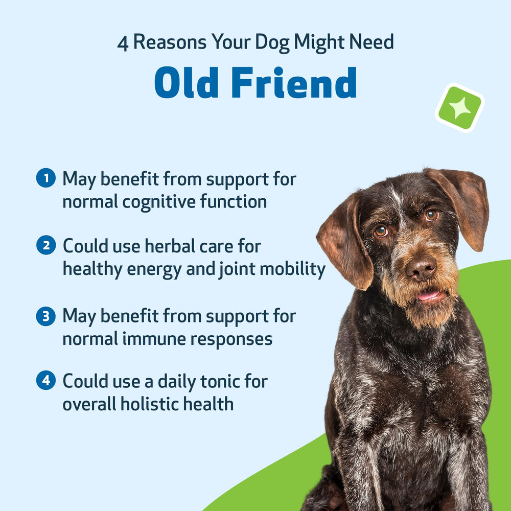 Pet Wellbeing Old Friend USA-made vet-formulated care in a bottle