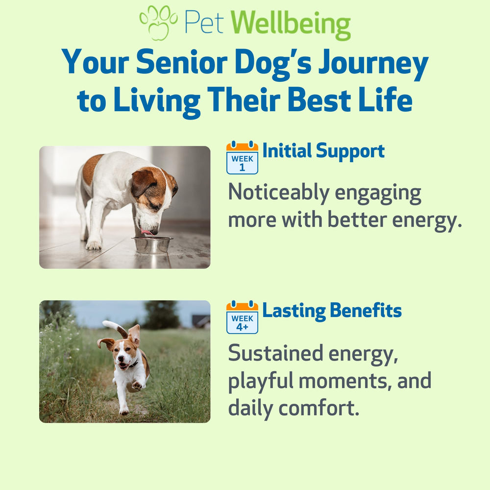 Pet Wellbeing Old Friend bottle in outdoor scene showing senior dog enjoying activity