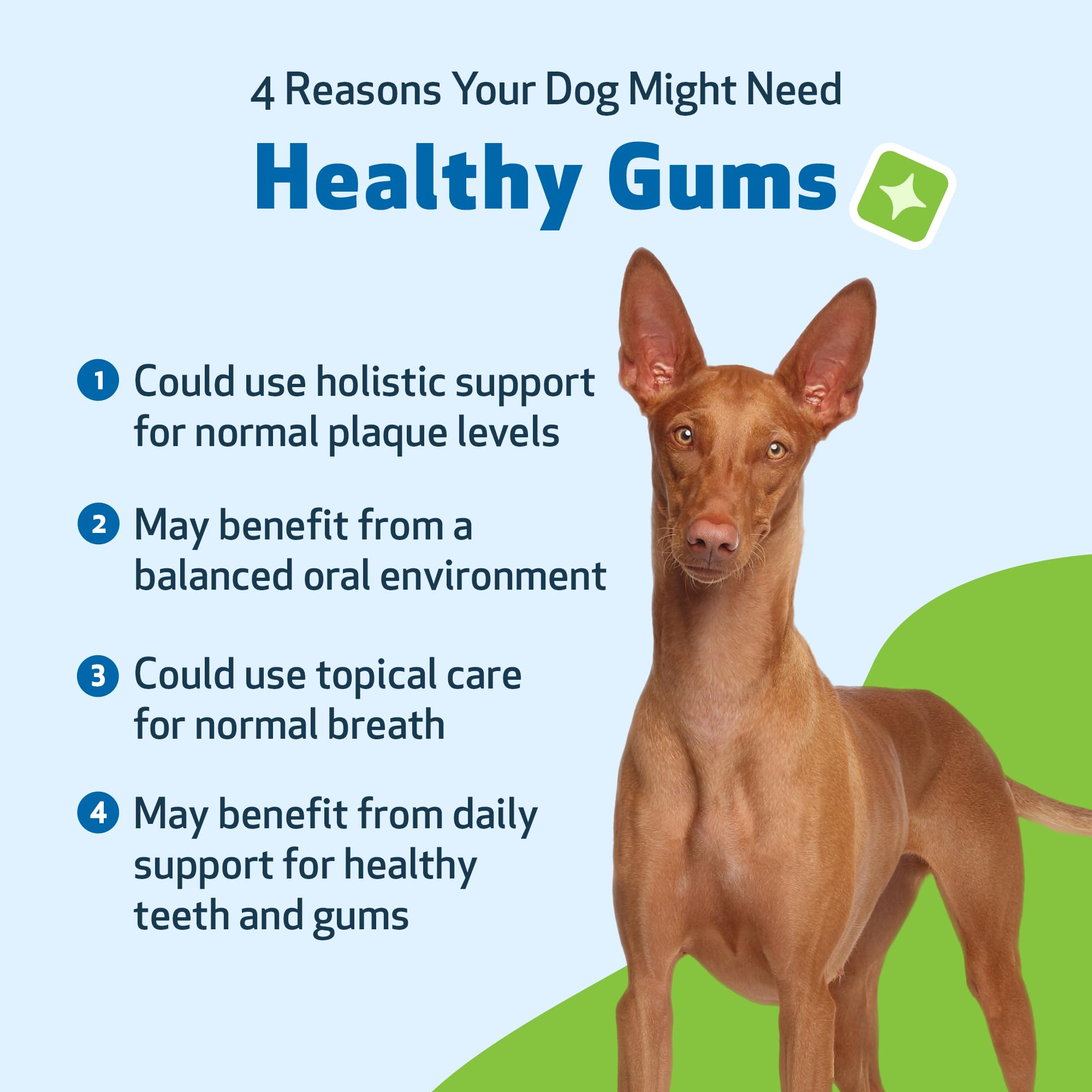Pet Wellbeing Organic herbs ingredients label close-up for gum care.