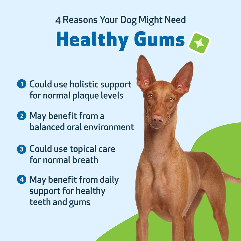 Pet Wellbeing Organic herbs ingredients label close-up for gum care.