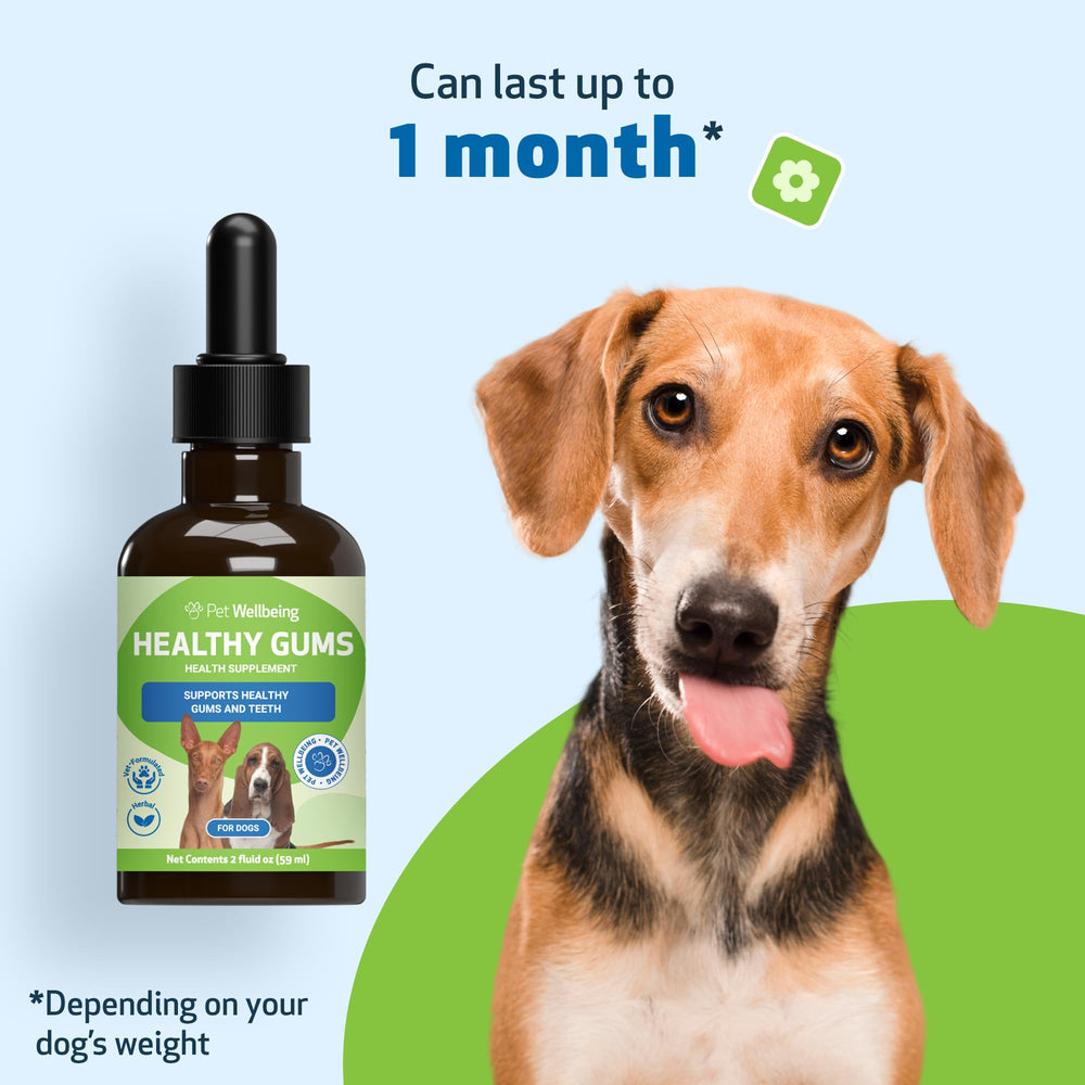 Pet Wellbeing packaging back view conveying premium quality and care.