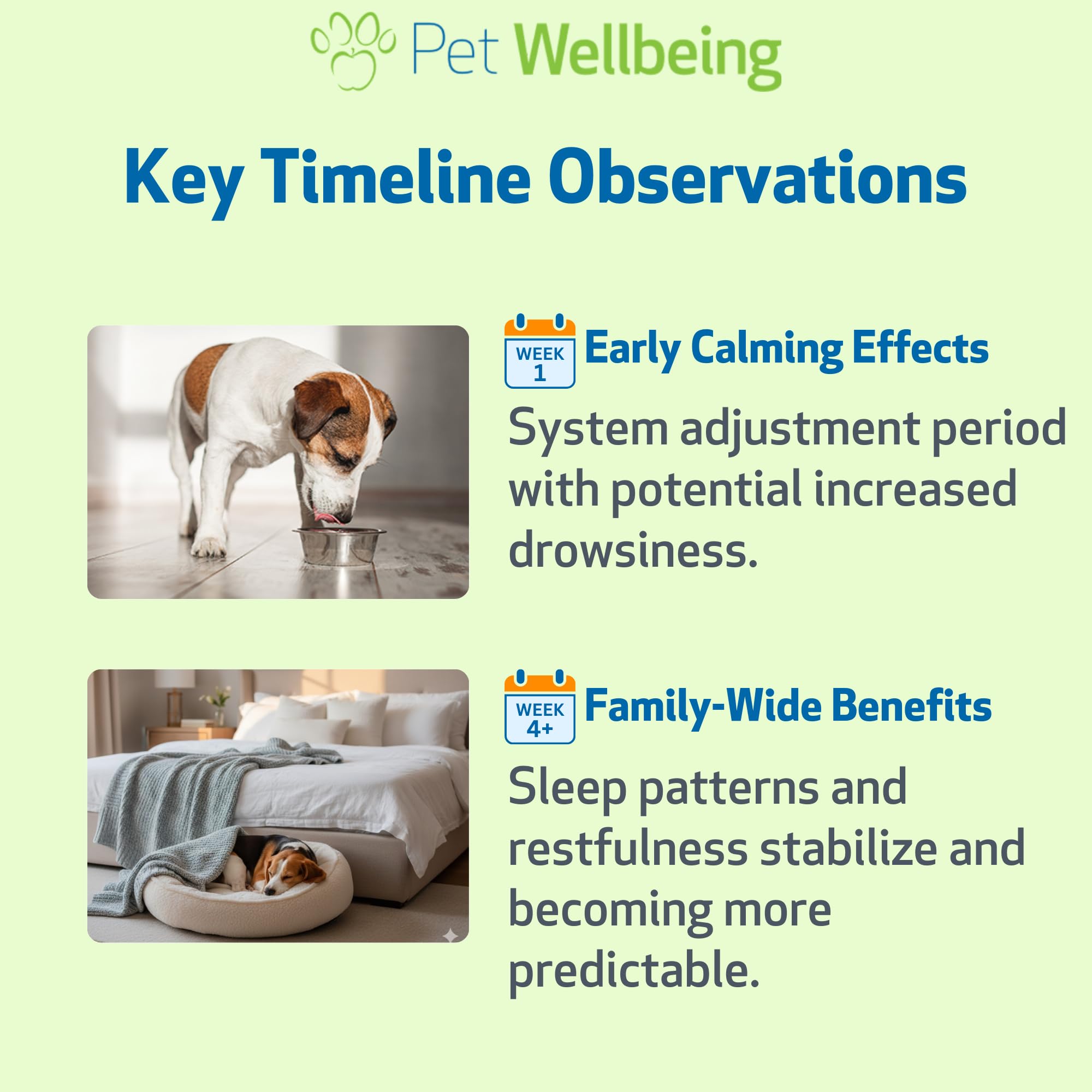 Pet Wellbeing Pet Melatonin bedtime-routine – supports healthy circadian rhythm in dogs.