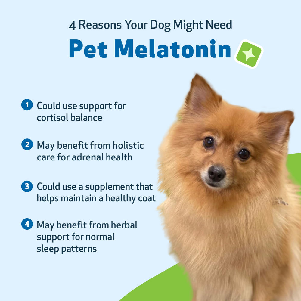 Pet Wellbeing Pet Melatonin circadian-balance – gentle sleep wellness across life stages.