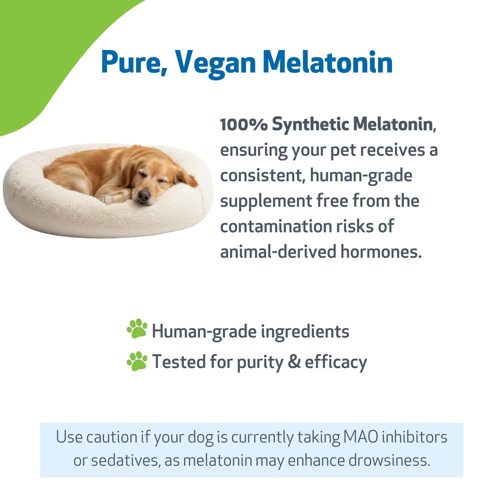 Pet Wellbeing Pet Melatonin dog-sleep-scene – visual of peaceful nighttime for pets.