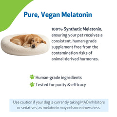Pet Wellbeing Pet Melatonin dog-sleep-scene – visual of peaceful nighttime for pets.