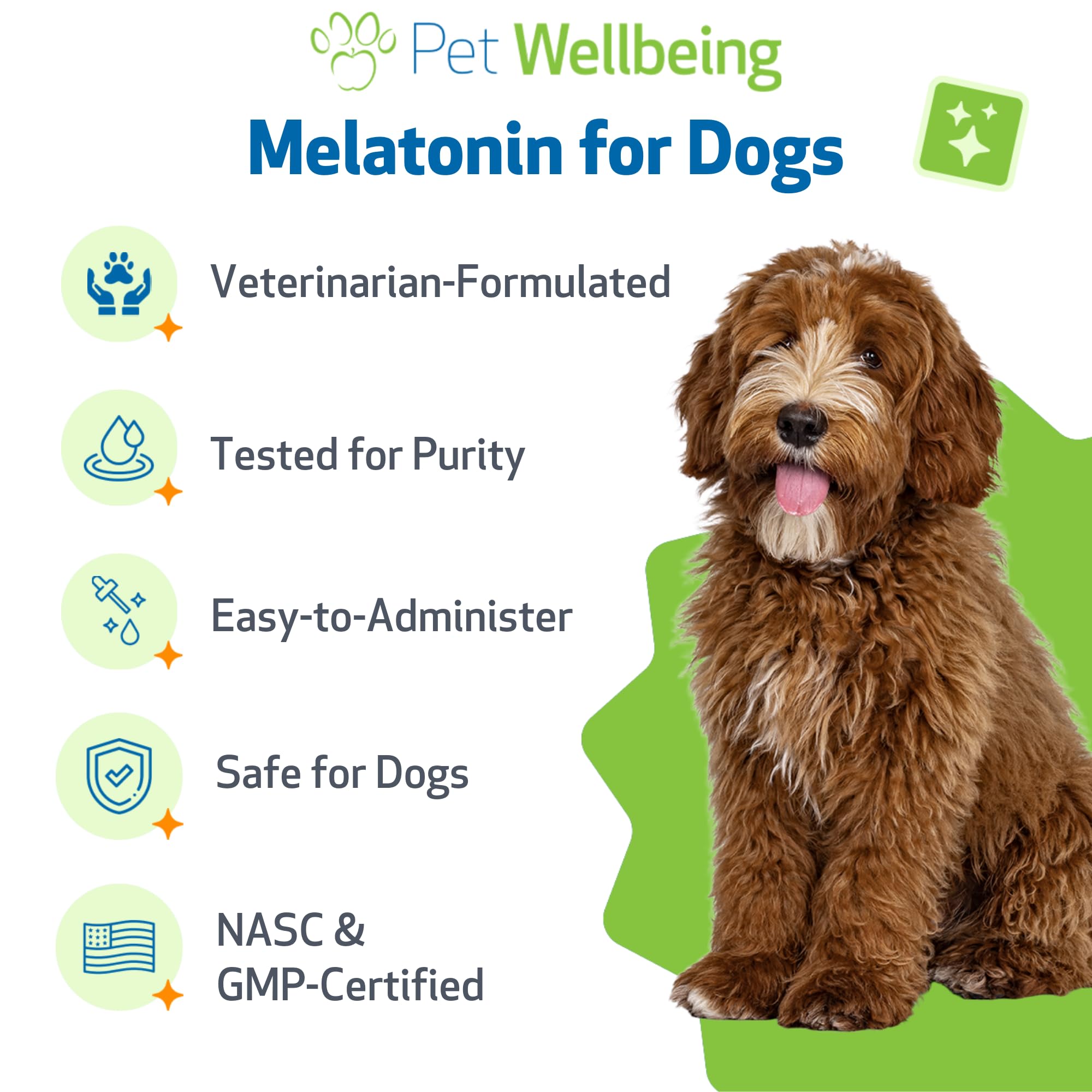 Pet Wellbeing for Dogs helps ease daily stress and promote calm evenings