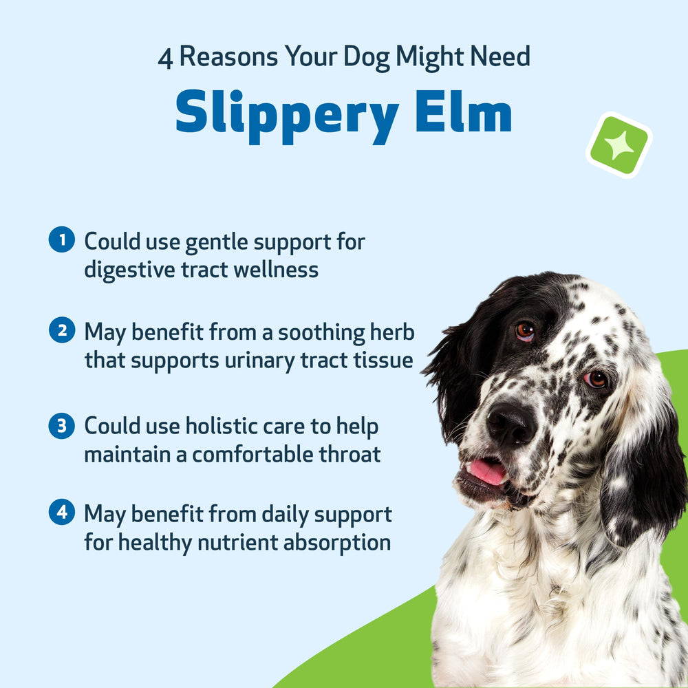 Pet Wellbeing Slippery Elm label graphic showing natural soothing benefits.