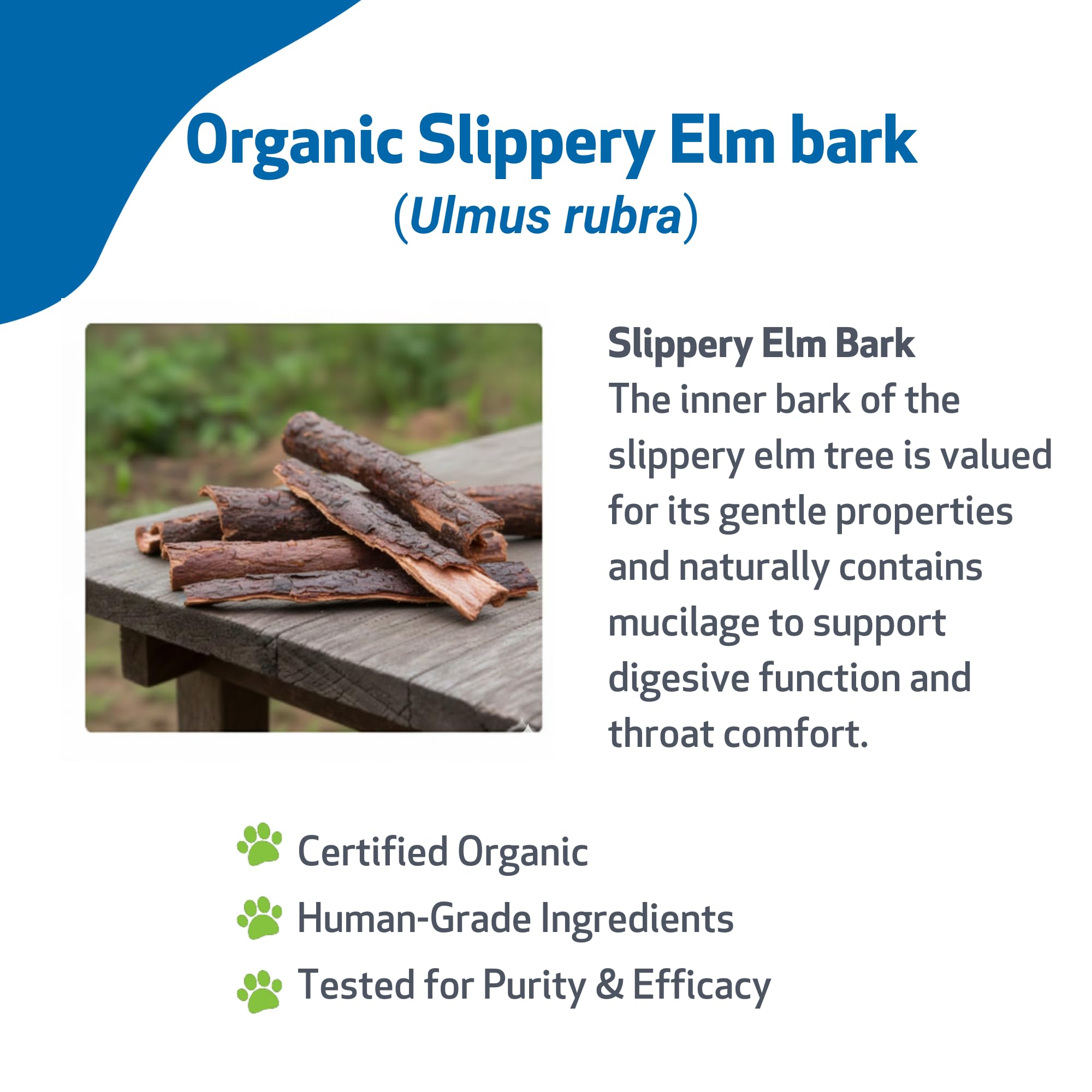 Pet Wellbeing Slippery Elm liquid essence shows organic single herb for gentle relief