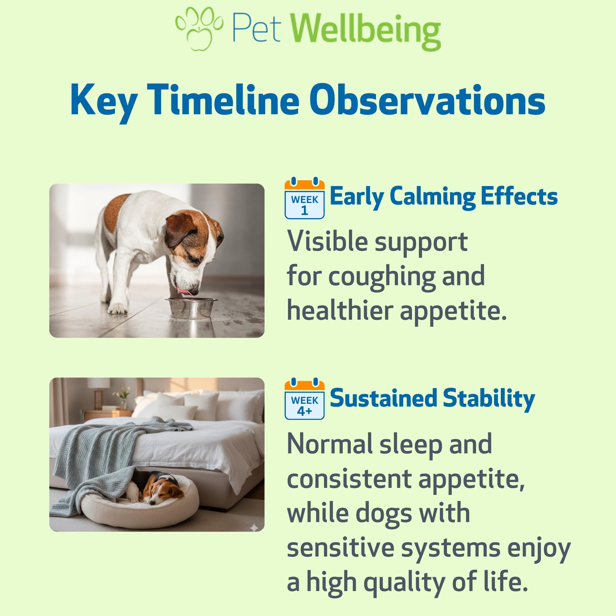 Pet Wellbeing Slippery Elm liquid formula ready for simple dosing.