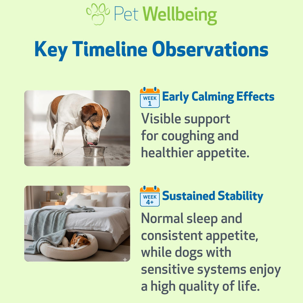 Pet Wellbeing Slippery Elm liquid formula ready for simple dosing.