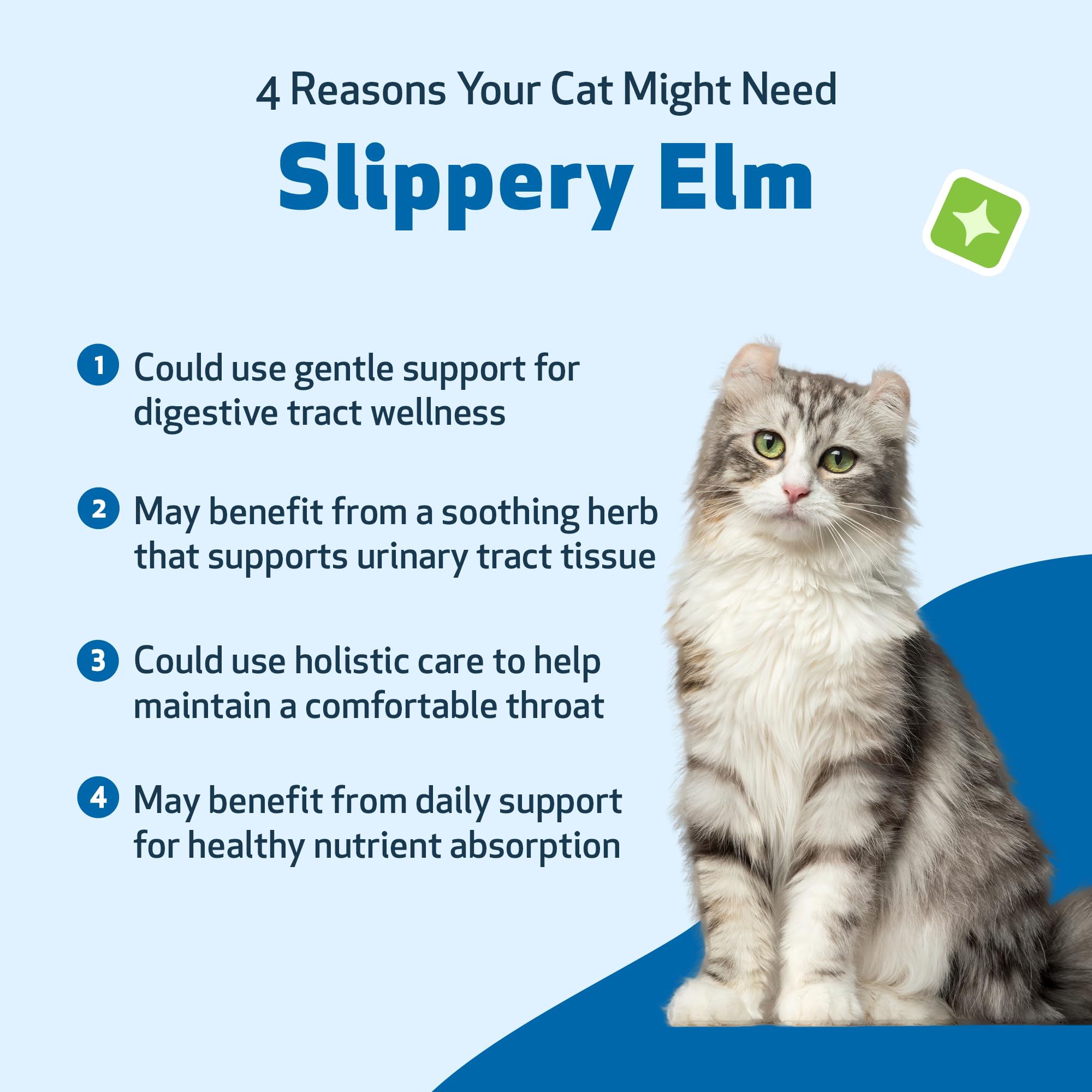 Pet Wellbeing Slippery Elm organic extract supports sensitive cat systems