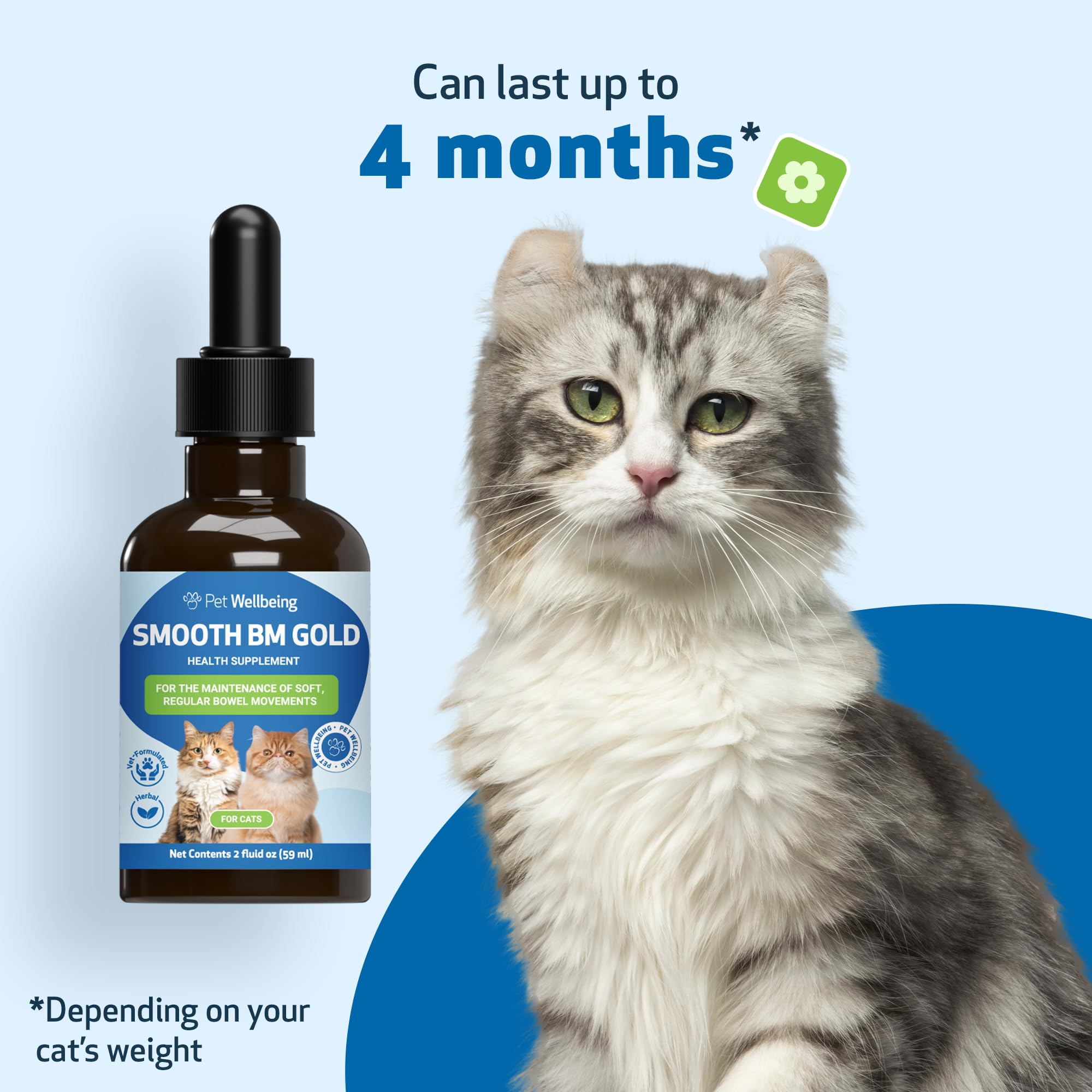 Pet Wellbeing Smooth BM Gold bottle sits on kitchen counter ready for use.