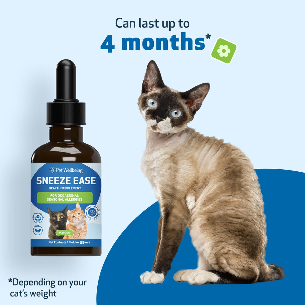 Pet Wellbeing Sneeze Ease cat enjoying a calm moment after dosing.