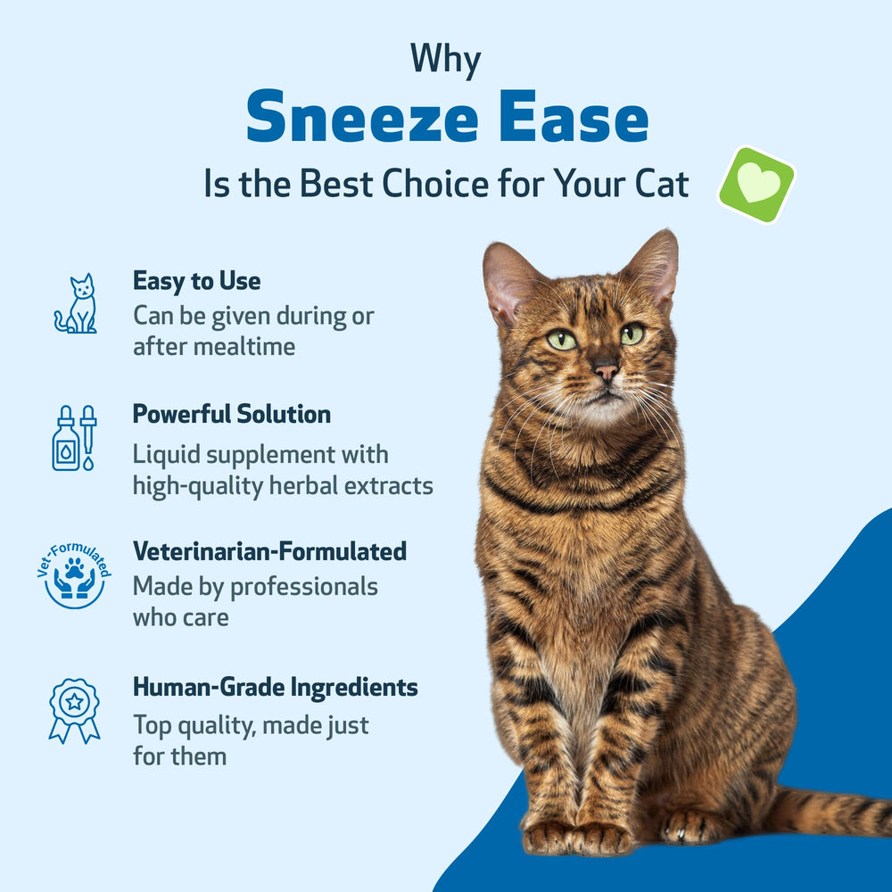 Pet Wellbeing Sneeze Ease with cat during morning routine for allergy support.